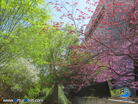باغ آبراهام لینکلن در آمریکا باغ آبراهام لینکلن در آمریکا
