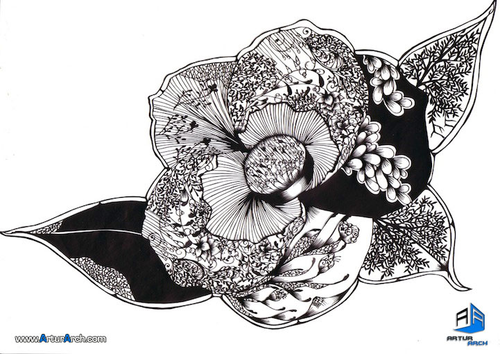 tarazarch-HinaAoyama