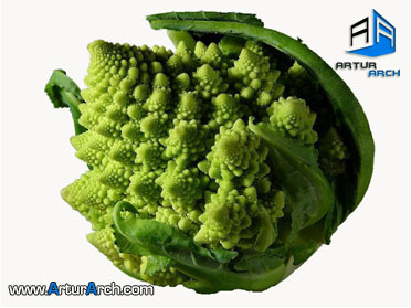 New-Picture-(1) New-Picture-(1)