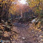 جاذبه های گردشگری روستای آهار