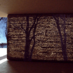 لایتراکان,متریال جدید معماری داخلی