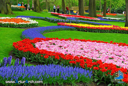 باغ کاکن با هفت میلیون گونه گل و گیاه در جنوب غرب آمستردام هلند3 باغ کاکن با هفت میلیون گونه گل و گیاه در جنوب غرب آمستردام هلند