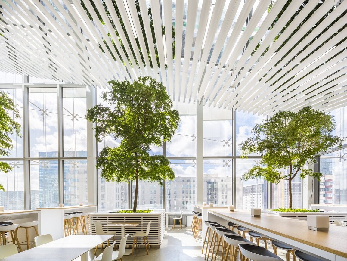 فضای سبز در داخلی